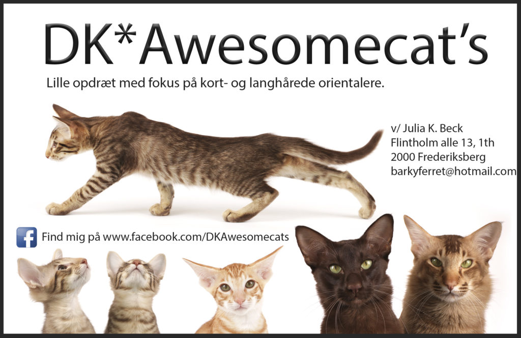Awesomecats annonce