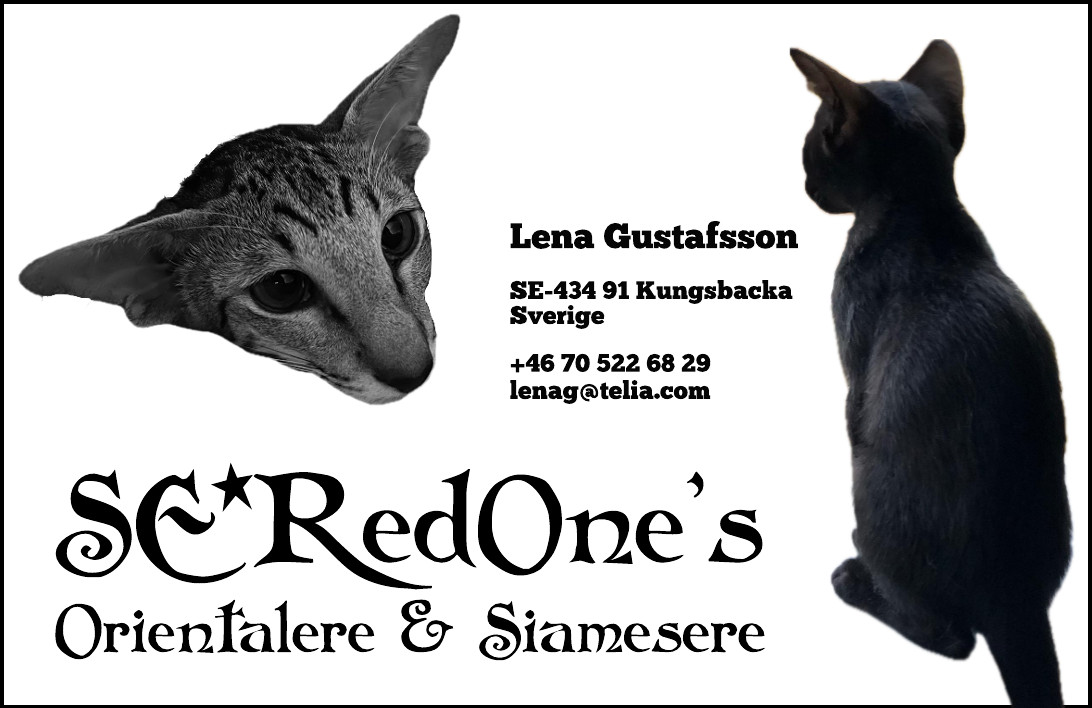 SE*RedOne’s