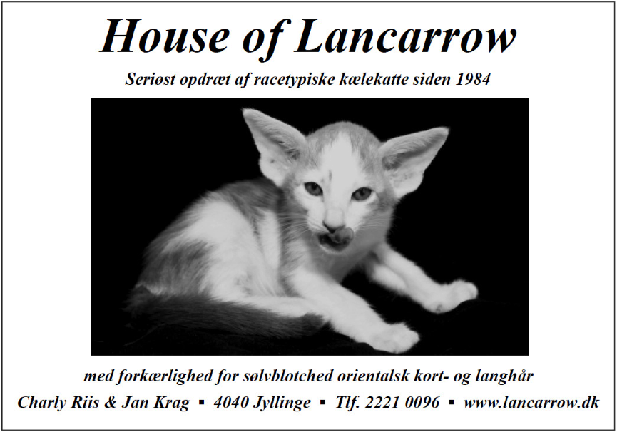 Lancarrow annonce